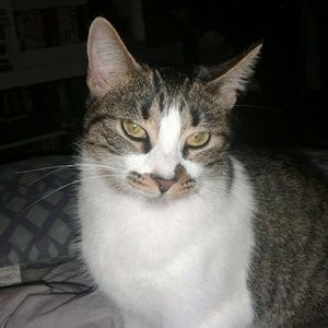 Meet your Posher, Ciera